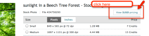 istock view usd pricing